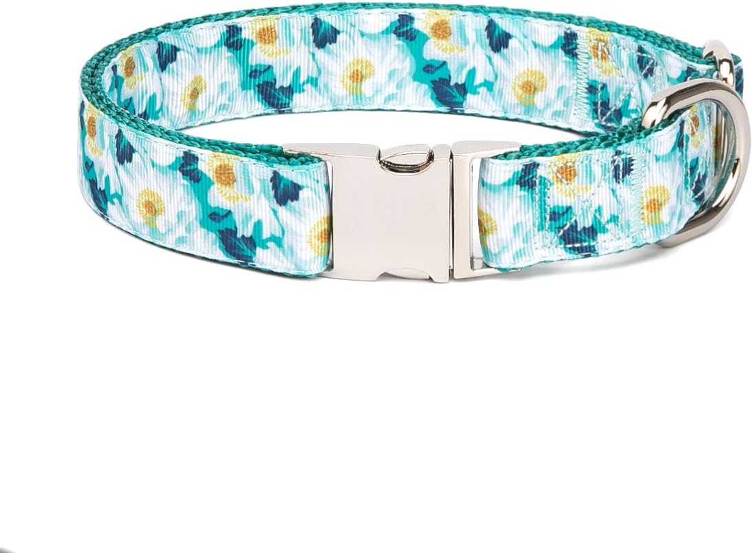 daisy cat collar