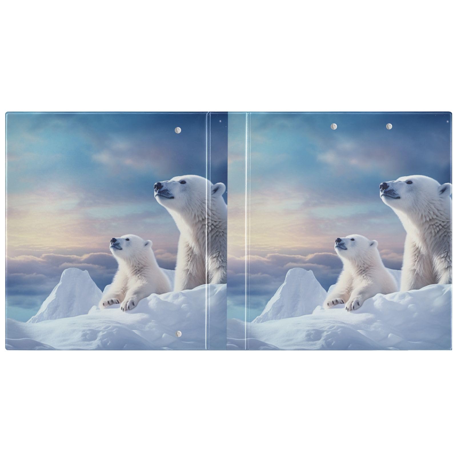 Polar Bear - Raccoglitore a 3 anelli, 3,8 cm, contiene 200 fogli con 3 tasche interne in PVC trasparente, per scuola e ufficio