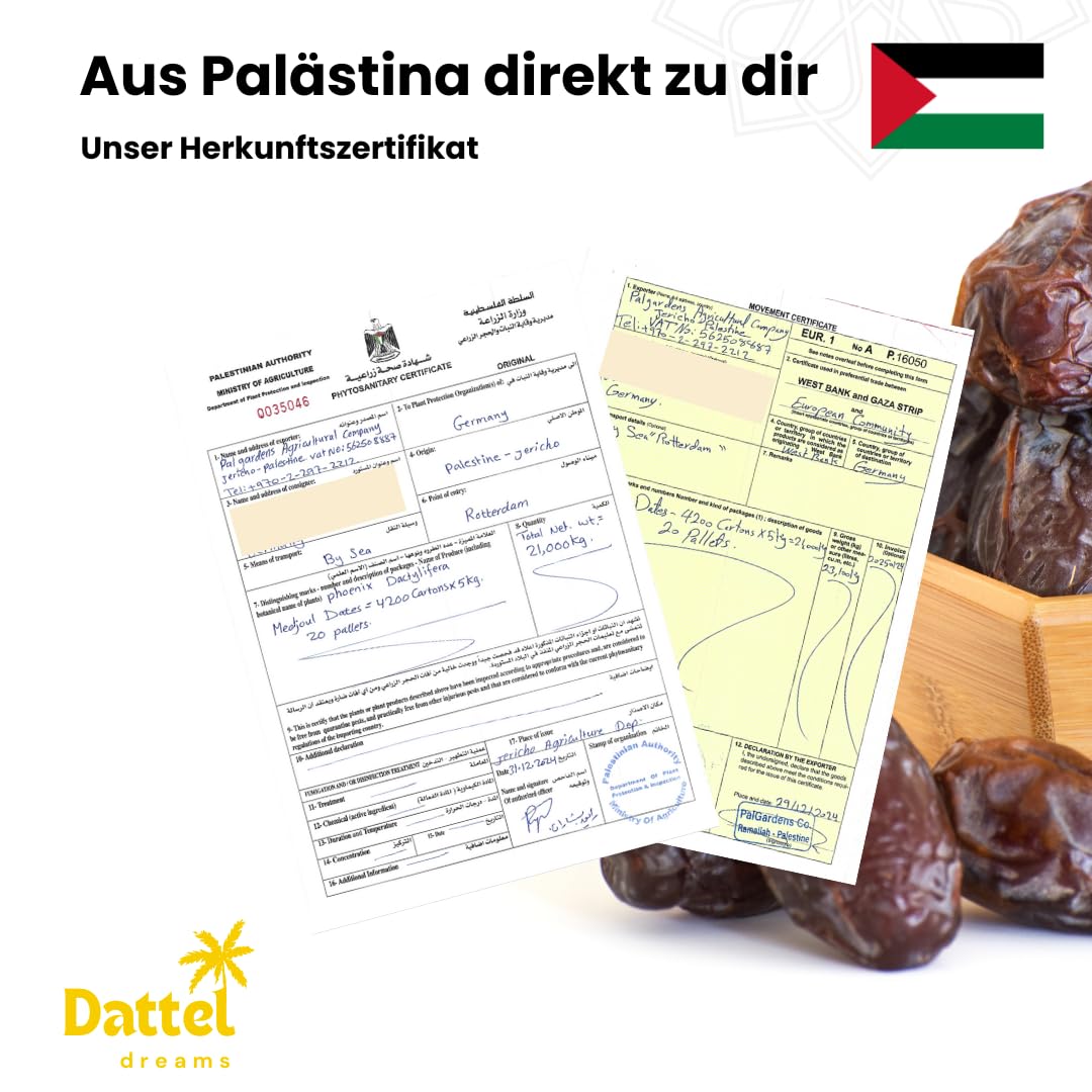 Datteldreams Medjool Datteln (Medjoul) Jumbo Large aus Palästina – Neue Ernte 2025/2026 – Premium Königsdatteln, soft & karamellig, 100% natürlich, ohne Zusatzstoffe – vegan (5kg Karton)