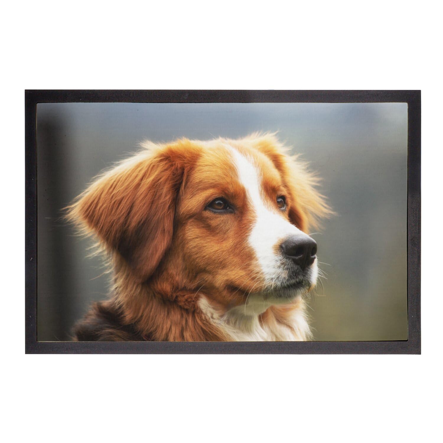 Paillasson extérieur mignon 60x40cm motif chien marron et blanc