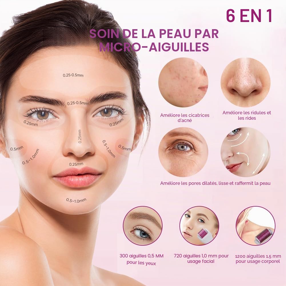 Derma Roller, 6 En 1 Derma Roller 0.5/1/1.5/2mm, Micro Aiguilles Rouleau, Dermaroller Appareil Anti-rides Anti-âge, Retrait de Cicatrice Acne Vergetures, pour Visage Corps Yeux