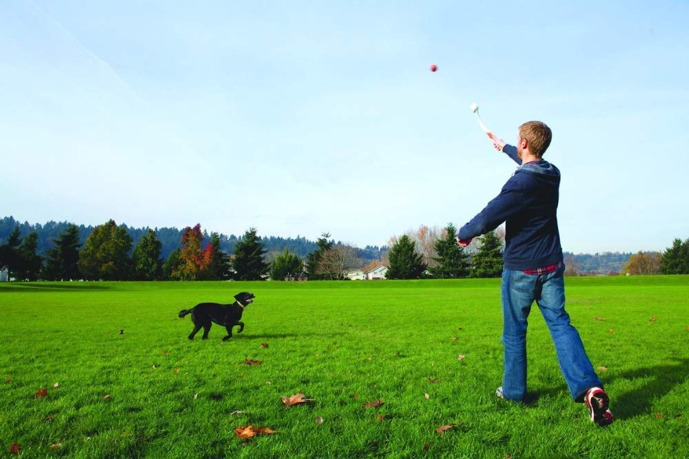 Chuckit! Lanceur de balle pour chien Sport 14S - 2PK