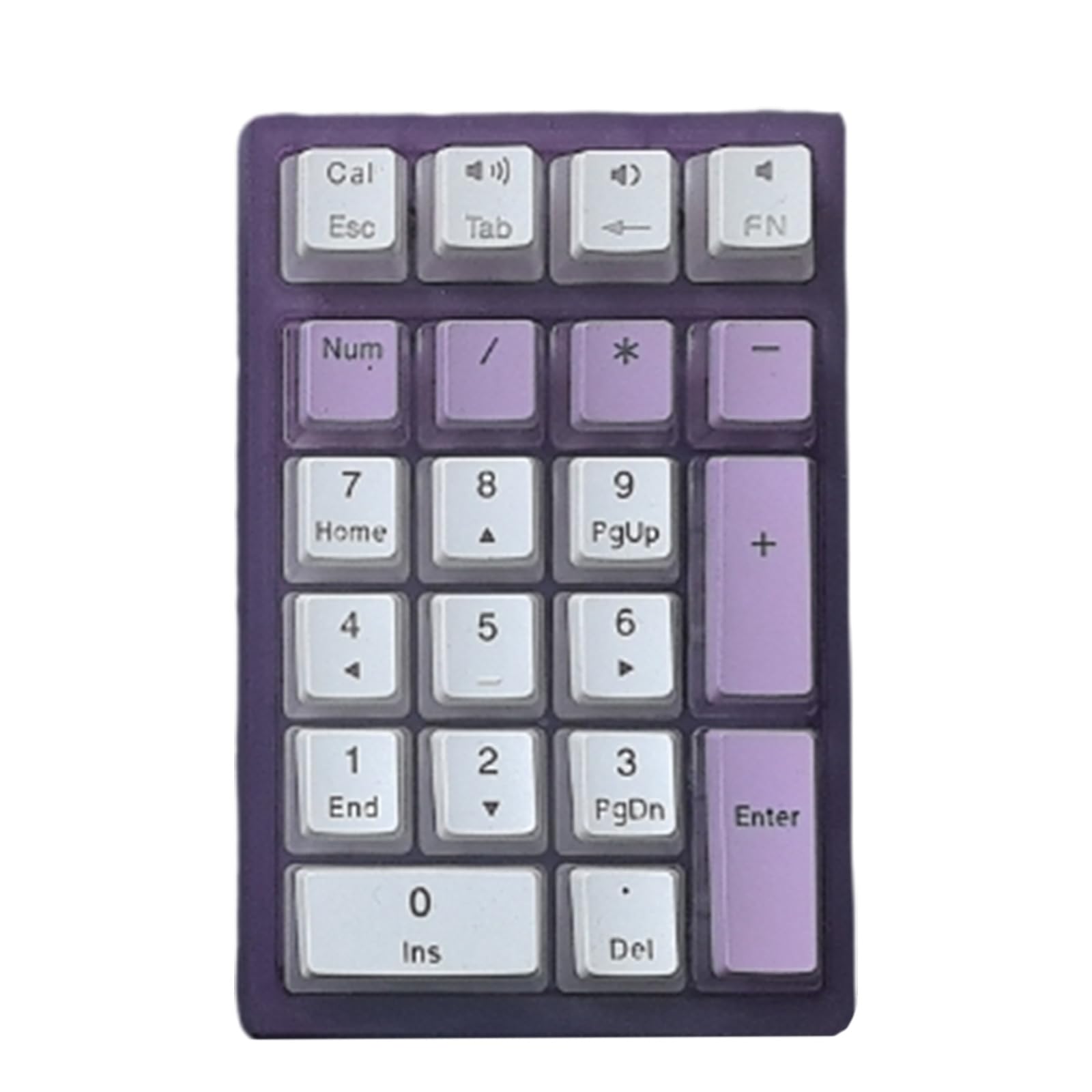 テンカウント Amazon.com : Digi 1st TC-08 Desk Tally Counter with Base