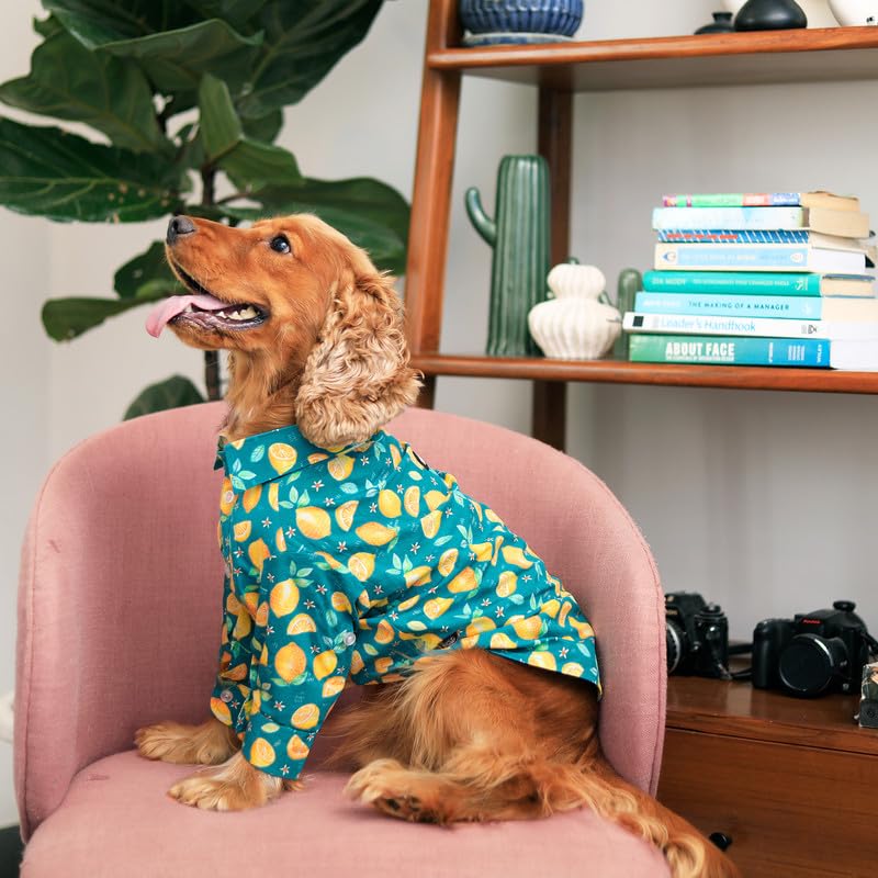 See full amazon price history chart for Petsway Soft Cotton Printed Shirts (Autumn), Half Sleeves Breathable Vest Outfit Dog Shirt with Tape, Comfortable Dog Apparel, Soft & Light Weight Dog Summer Wearable Petsway Soft Cotton Printed Shirts (Autumn), Half Sleeves Breathable Vest Outfit Dog Shirt with Tape, Comfortable Dog Apparel, Soft & Light Weight Dog Summer Wearable (B0D2Y375R2) Amazon Price History, Amazon Price Tracker