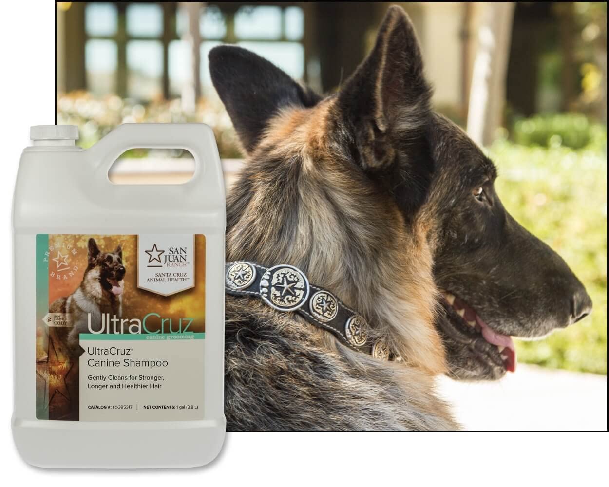 UltraCruz Hunde Shampoo