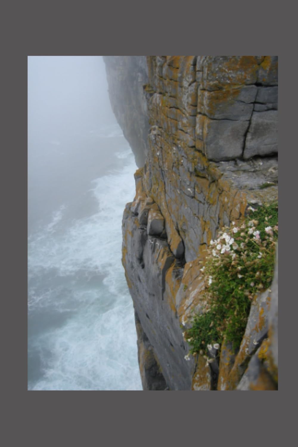 Rockface: Weathering the Storms
