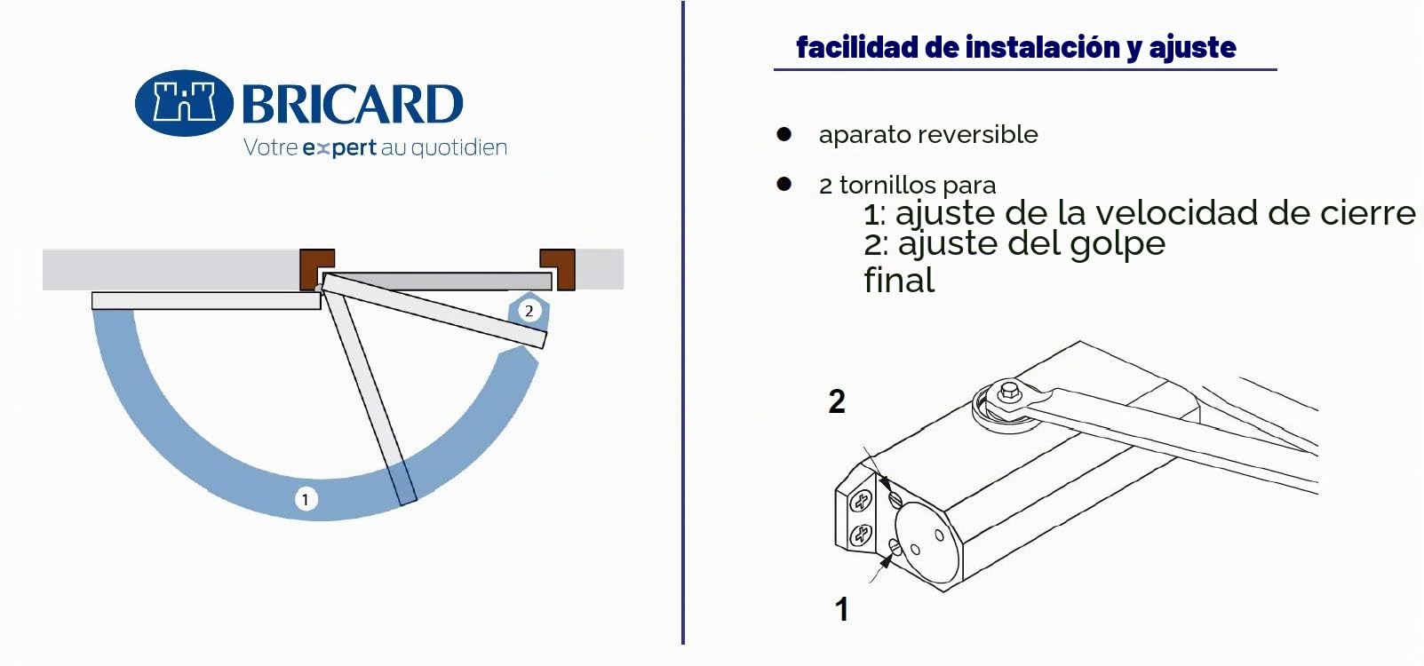 Bricard 6100107 - Cierrapuertas con brazo de brújula fuerza de 2 a 4 (hasta 80 kg), tecnología Piñón cremallera color plata