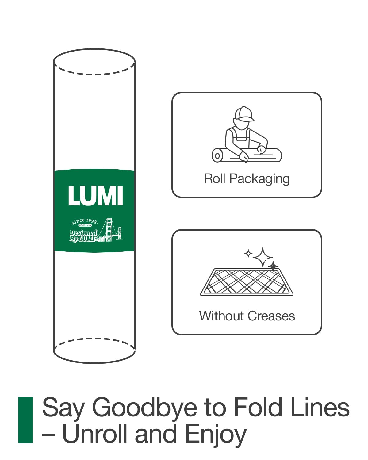 LUMI Tapete absorbente resistente al barro para interiores y exteriores, resistente a la decoloración, parte trasera de goma natural antideslizante, perfil bajo, fácil de limpiar, 32 x 48 pulgadas,