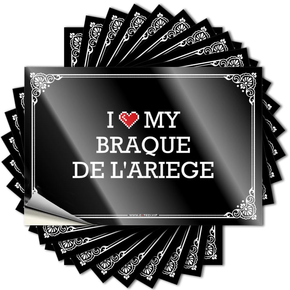 Tattoos House Stuff Diatomaceous Spring Case I Love My Braque De L'ariege - Scratch Resistant Stickers(8X12CM)