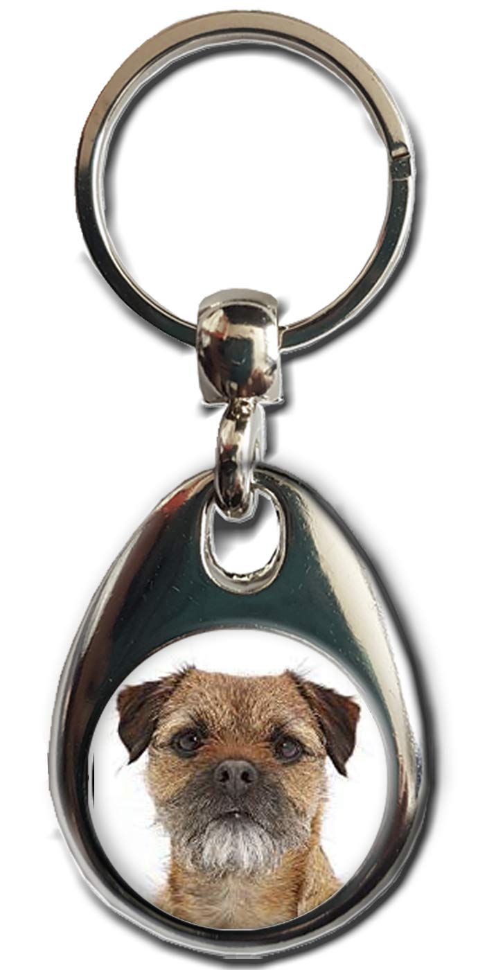 Kazmugz Multicolor Border Terrier Keyring. Heavy Quality Metal Gift Keyring. Double Sided Keychain. Puppy Dog Pet Gift.