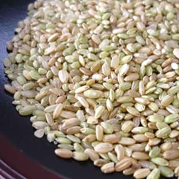 鳥のエサ くず米 40kg のりちゃん 鳥のエサ くず米 40kg のりちゃん 鳥のエサ くず米 40kg のり