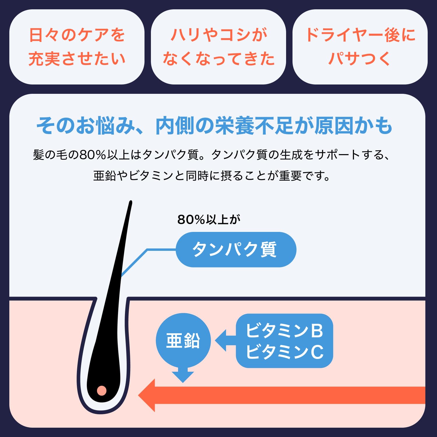 Amazon | HIX (ヒックス) メンズ サプリメント 亜鉛 Lリジン ビオチン