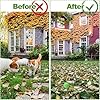 apohen Cat Repellent Outdoor to Keep Cats Away, Natural Peppermint Oil Cat Deterrent Outdoor and Indoor, Keep Cats Out of Yard Permanently, Protect Your Yard and Furniture (10 Count (Pack of 1)) #4