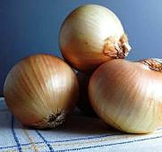 50 Seeds Yellow Granex Onions Seeds Non-Hybrid, Open-Pollinated, Suited for Canadian Climate