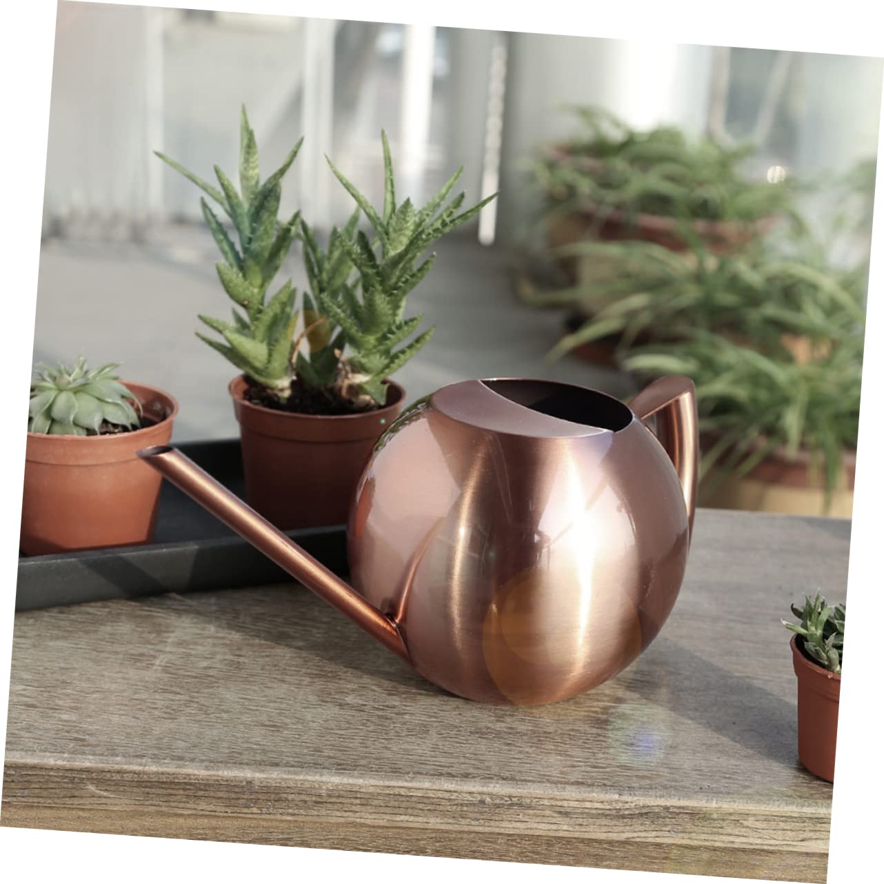 Konewka, Butelka na wodę ze stali nierdzewnej Metalowa konewka Konewka do Bonsai w pomieszczeniach Konewka do Bonsai Konewka do roślin domowych Rośliny Podlewanie zraszacz Czajnik Urządzenie do podlew