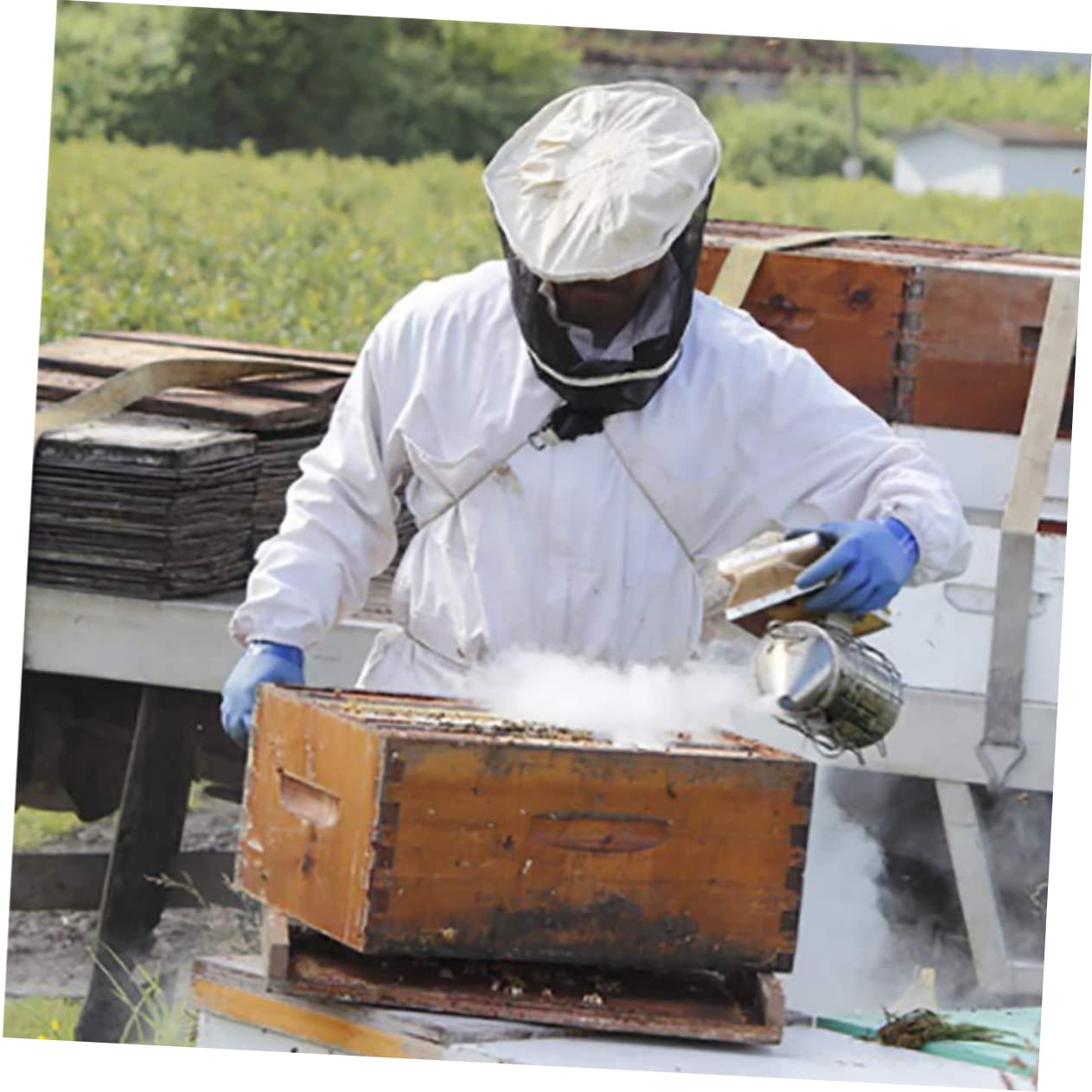 Milisten Fumigateur pour Apiculture Acier Inoxydable avec Embout Mini Outil Abeilles pour Utilisation Sécurisée et