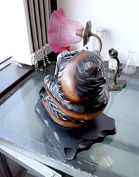 琴 和楽器 フルセット 練習 ビンテージ ヴィンテージ 昭和レトロ 古道具 2025年最新】Yahoo!オークション -昭和レトロ(筝、琴)の中古品