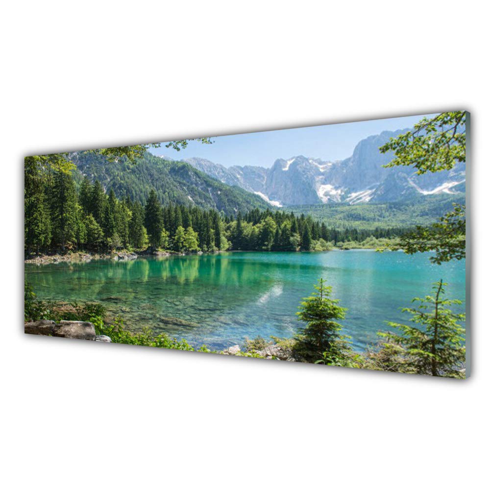 Tableau Mural Moderne Tulup Anti-Rayures en Verre Trempé 125x50cm Motif Nature