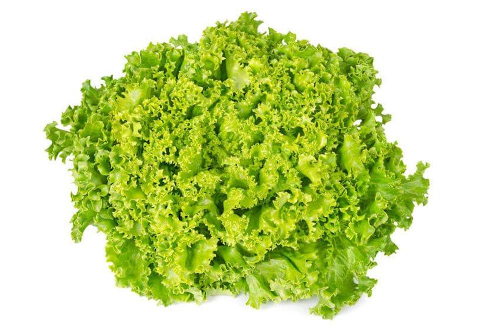 AllThatGrows Lettuce Lollo Bionda Seeds - (Pack Of 800 Seeds)
