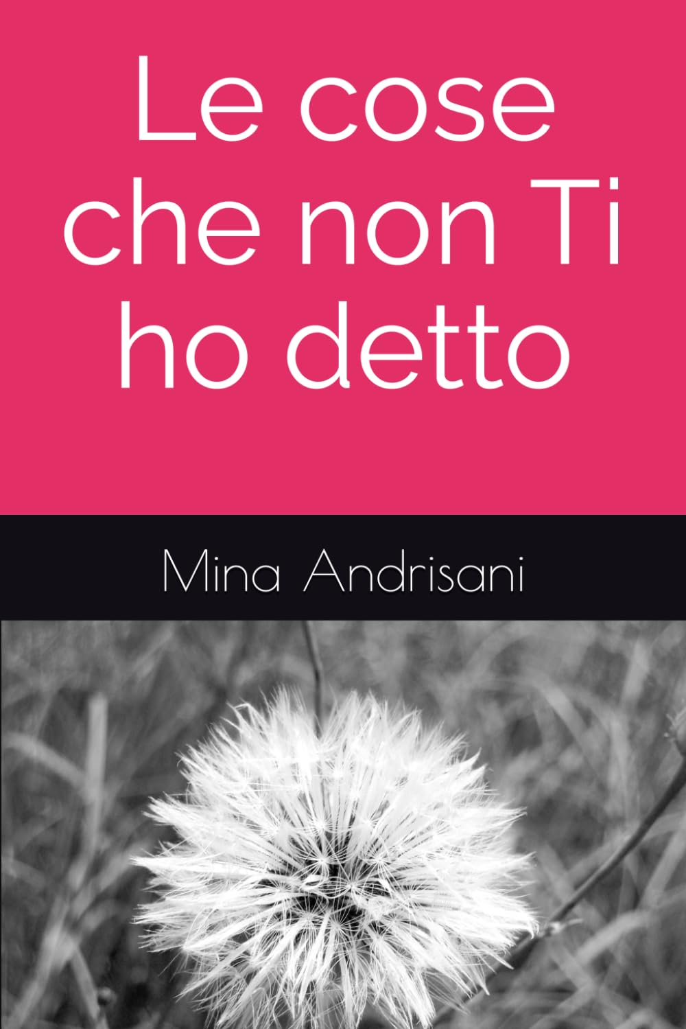 Le cose che non Ti ho detto