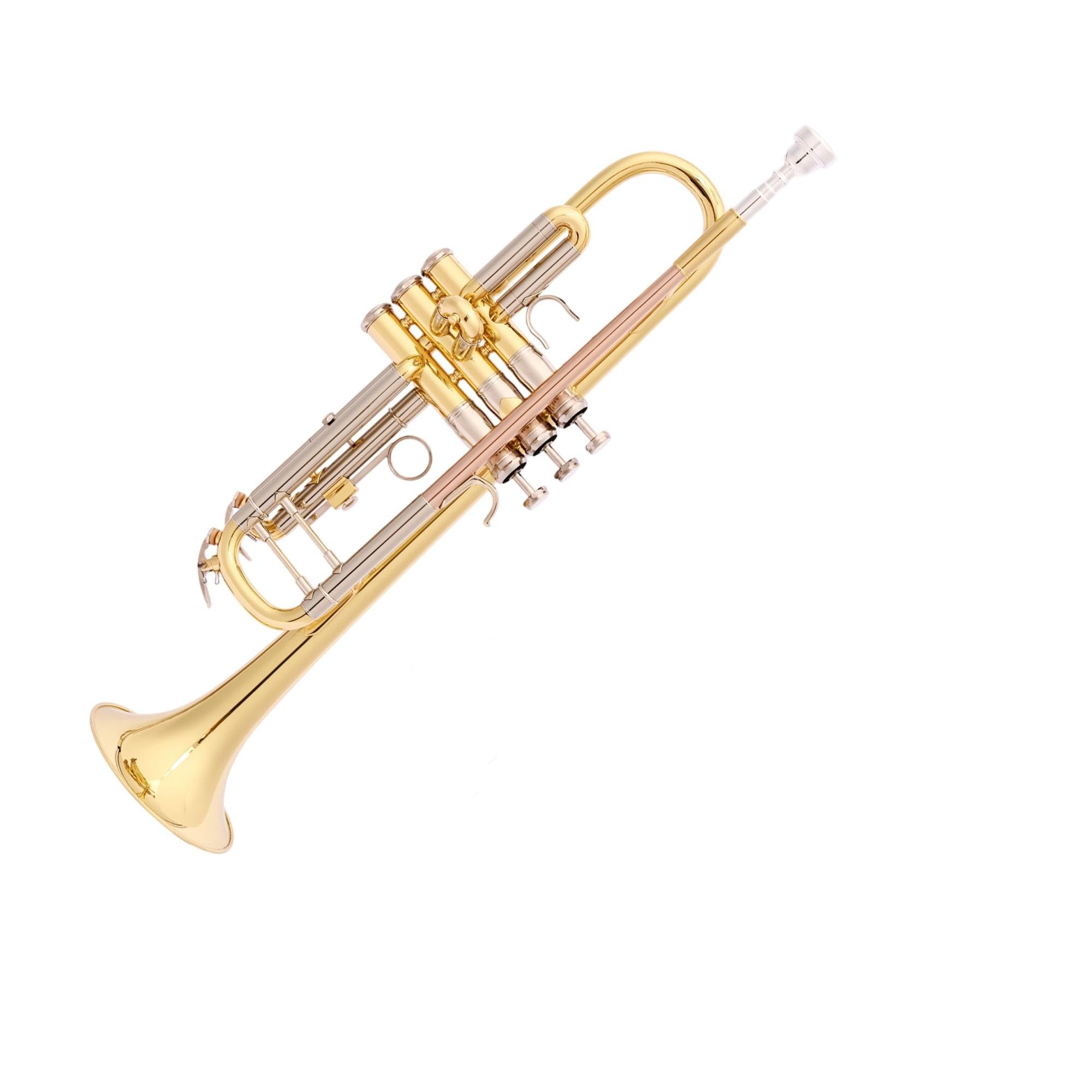 Standard Trumpet Profesjonalna trąbka Bb