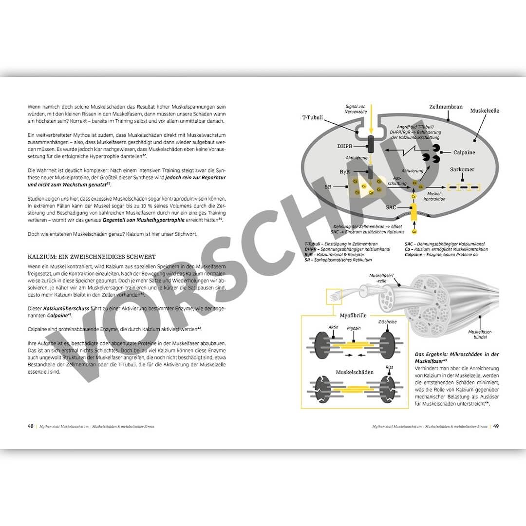 Die Fitness Fibel 2025 Sjard Roscher Hardcover neu Muskelaufbau Training Sport NEUAUFLAGE