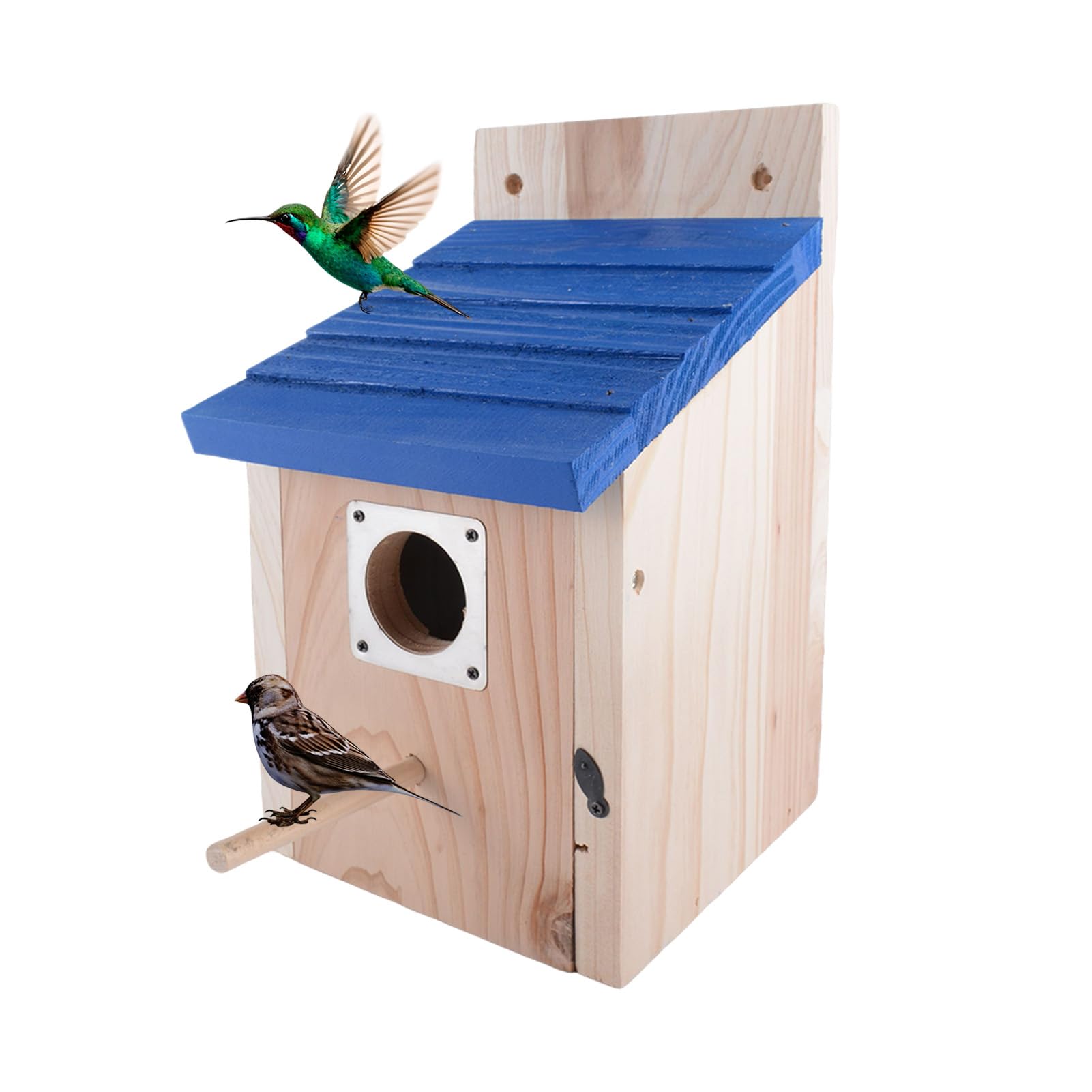 Volière d'extérieur pour oiseaux en bois bleu : nichoir idéal pour perruches et moineaux du jardin