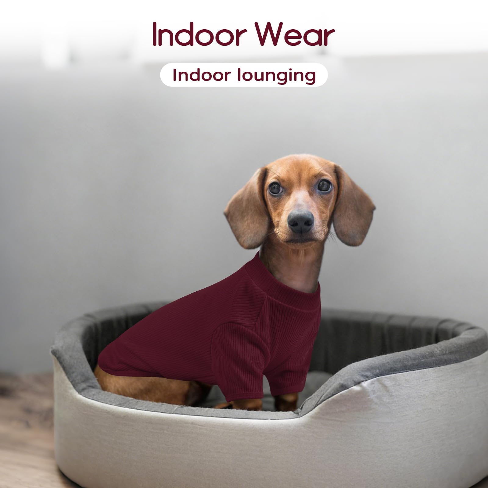 Pull en tricot pour chien L - T-shirt léger pour animal de compagnie pour Beagle - Schnauzer miniature Border Terrier - Confortable et décontracté - Pour promenades, voyage et confort à la maison