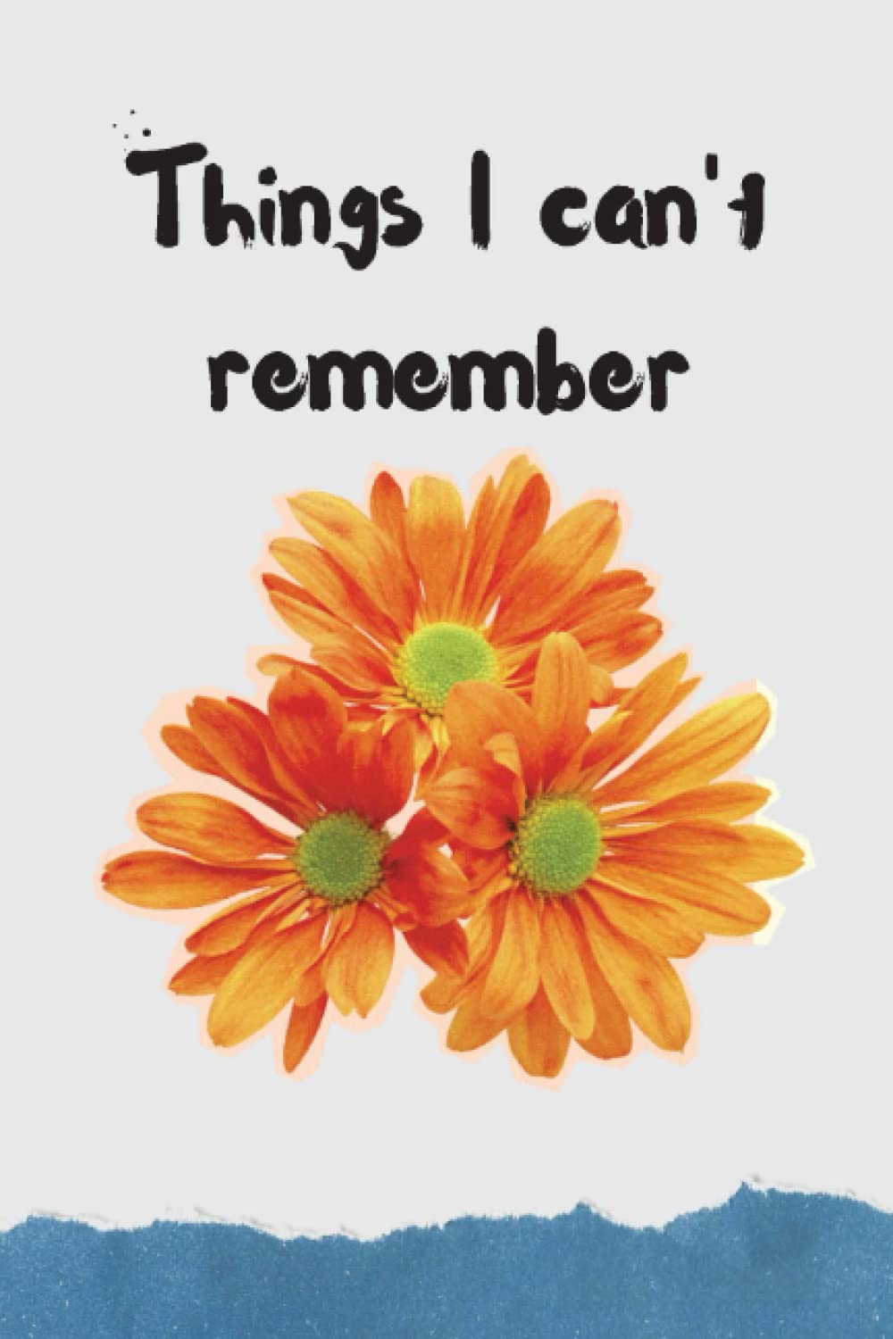 Things I can't Remember: Notebook