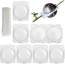 6 Pcs Plant Root Containers 8CM Box Root Growing Plants 250ml Plant Rooting Device, High Pressure Propagators for Grafting and Rooting