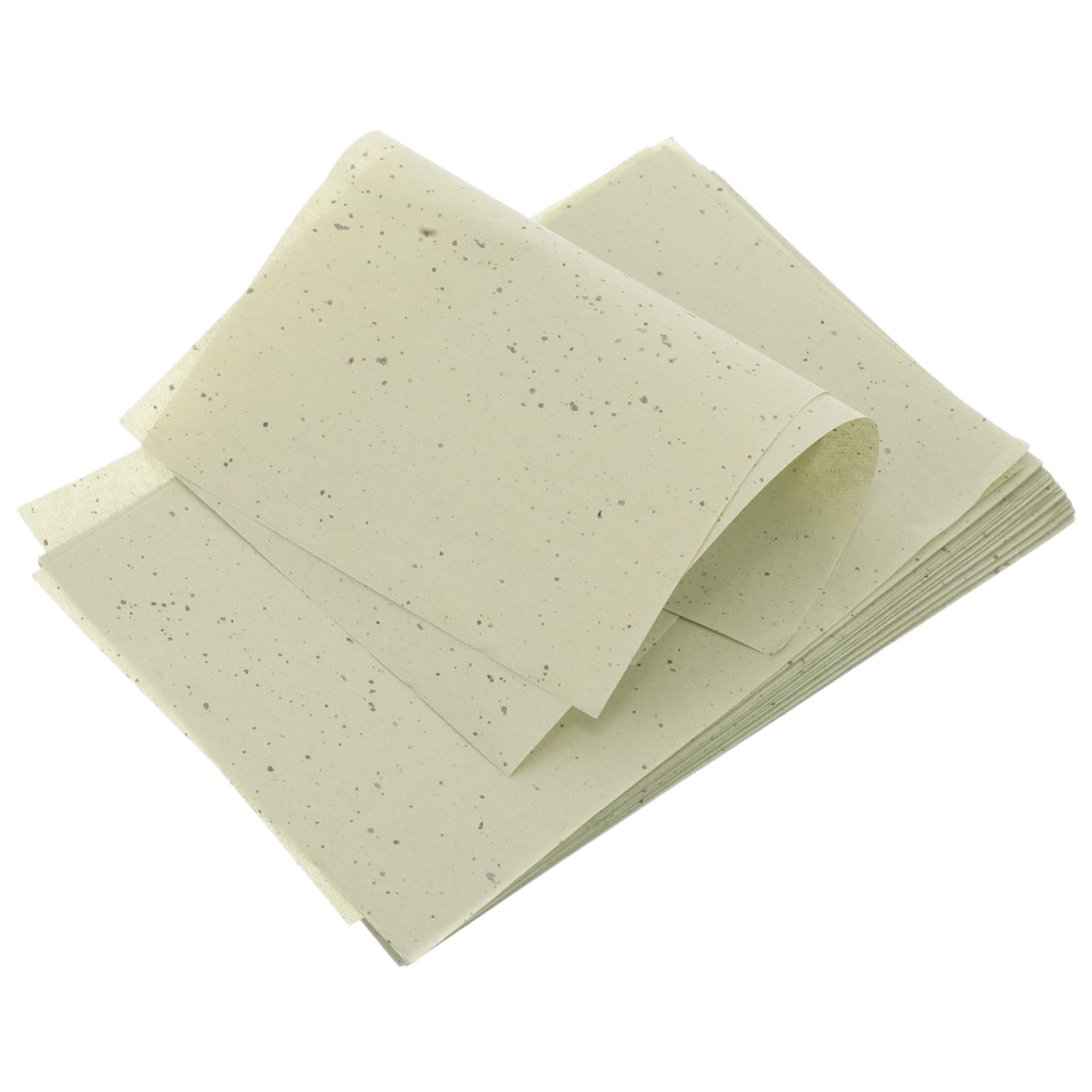 Baluue Oil Removing Paper Sheets 100ct Face Oil Absorber Non-woven Tissue Deep Cleansing for Office Travel