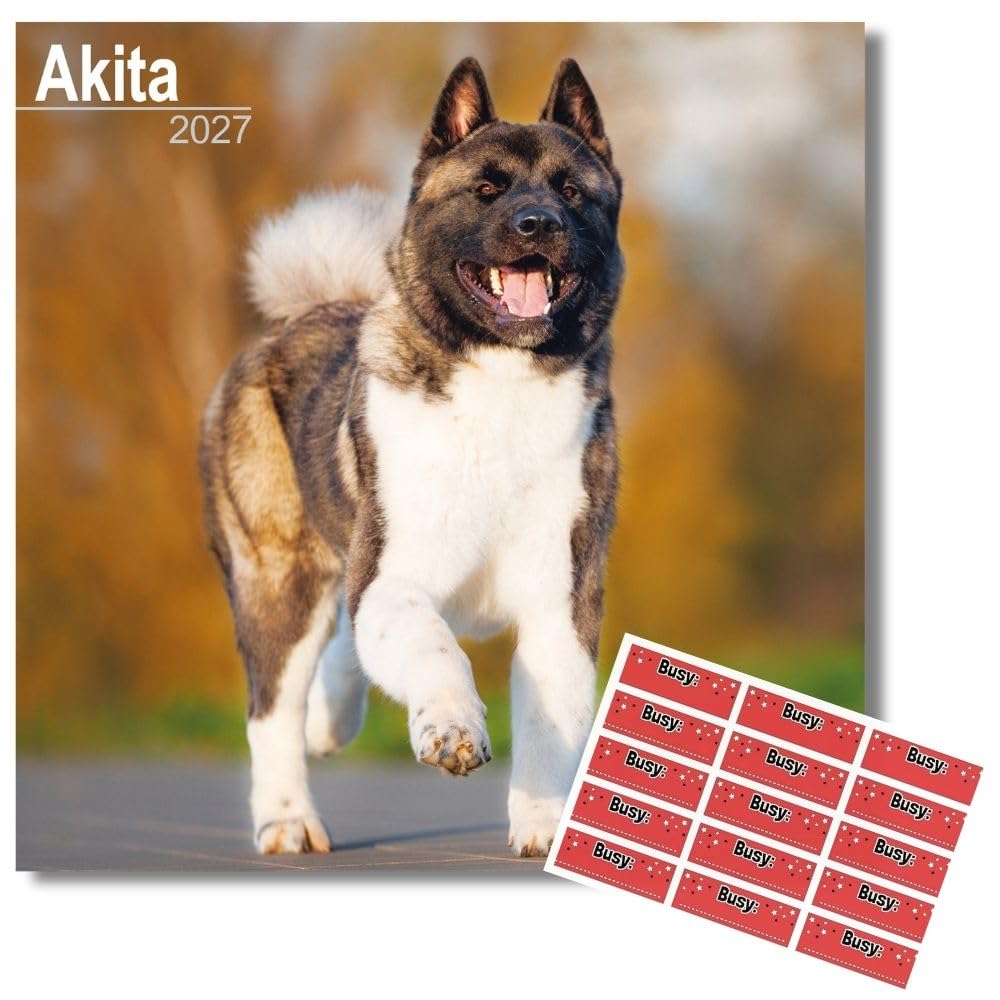 Avonside Akita 2027 Calendar with Organisational Stickers, 16 Month Square Wall Calendar (Sept 2026 - Dec 2027), UK Planner with Akitas, For Dog Lovers, Home & Office Organiser, 11.6 x 11.6 in