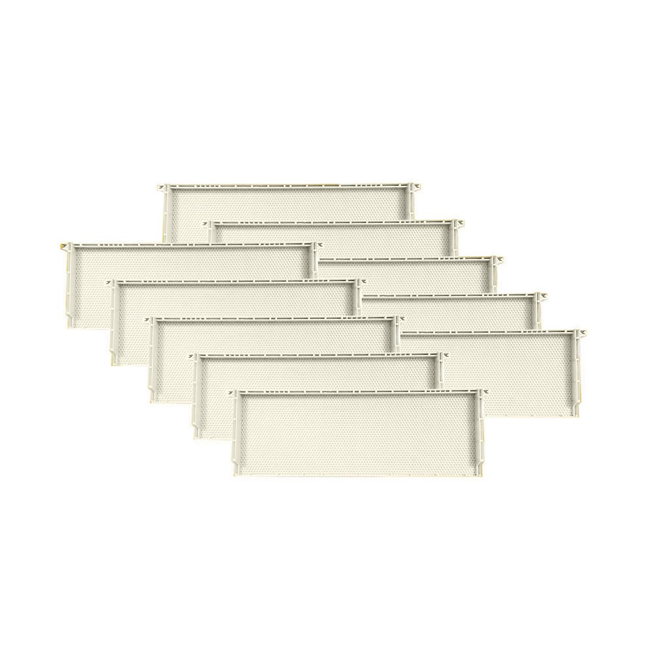 Blythewood Bee Company 6 1/4 Acorn Full Plastic White Frames - 10 Pack