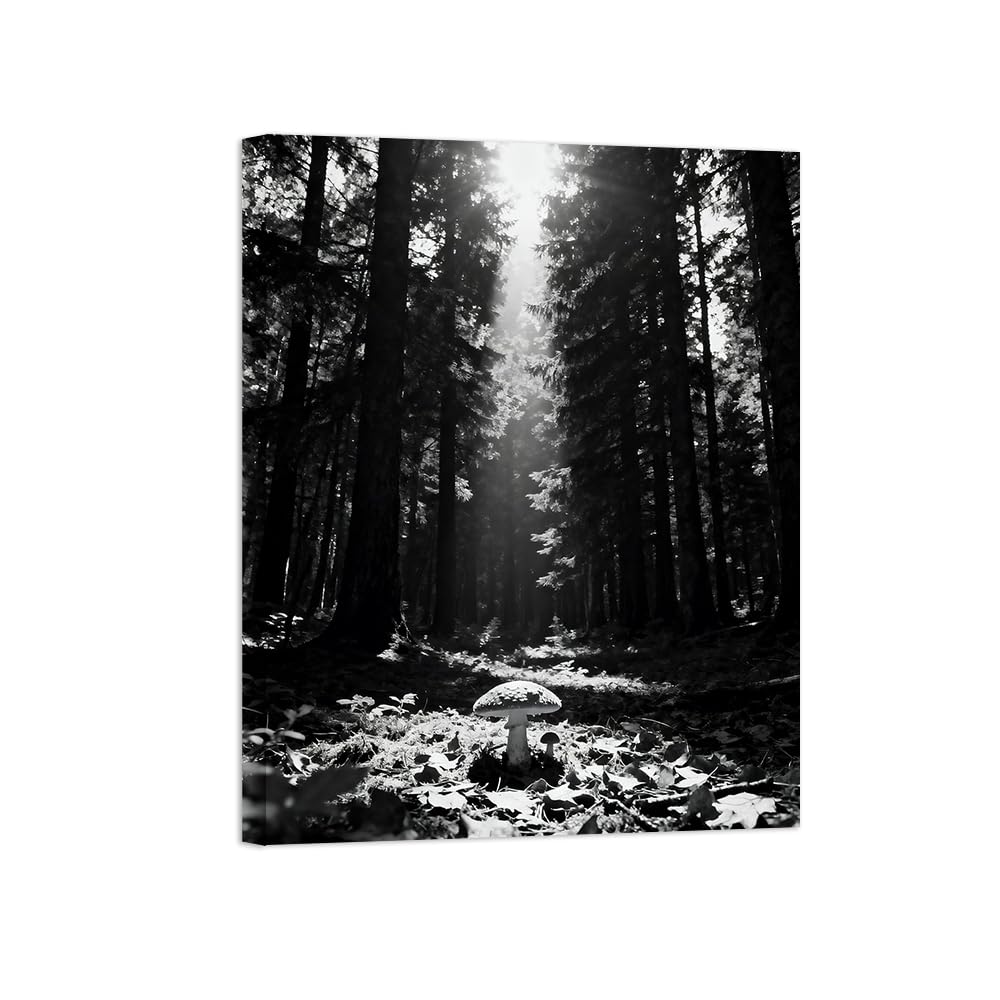 Black White Landscape Wall Art. Forest Sunshine 2. Picture 70x90cm Unframed