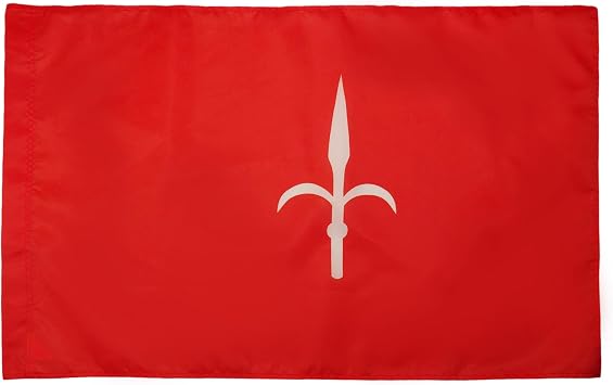 AZ FLAG Free Territory of Trieste 1947-1954 Flag 3 x 5 for a pole - Territorio libero di Trieste flags 90 x 150 cm - Banner 3x5 ft with hole
