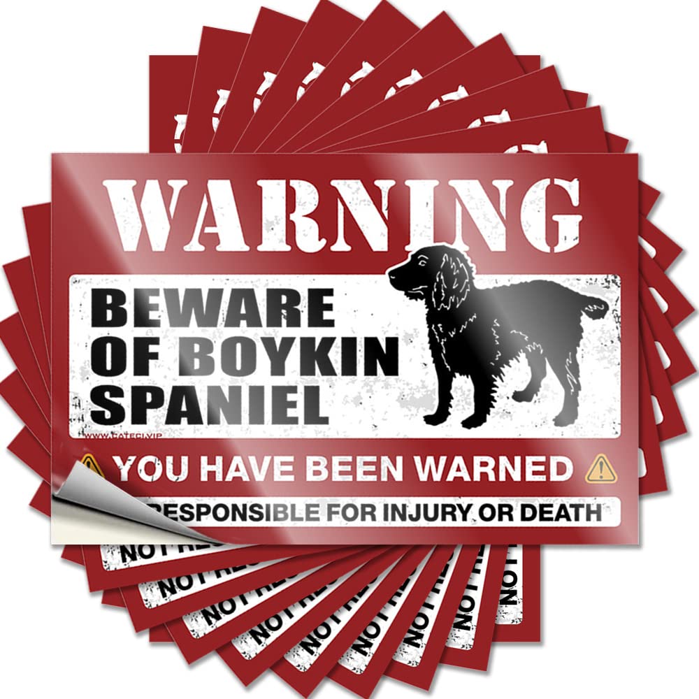 Decals Teenage Easy Apply | Beware of Boykin Spaniel Positive Bumper Peel and Stick(6X9CM)