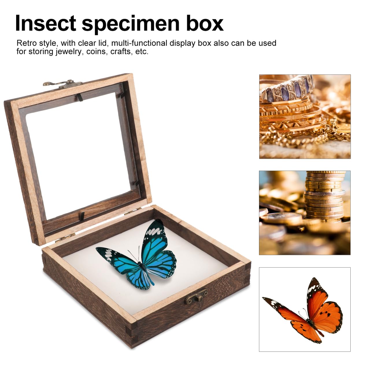 iplusmile 1 Satz Insektenprobenbehälter aus Glas Insekten-Schaukasten Sammlerbox für Insekten Vitrine für Schattenbox Holzrahmen Felsen Ausstellungsregale Schmetterlinge Vitrine 15 x 15 x 4,5 cm