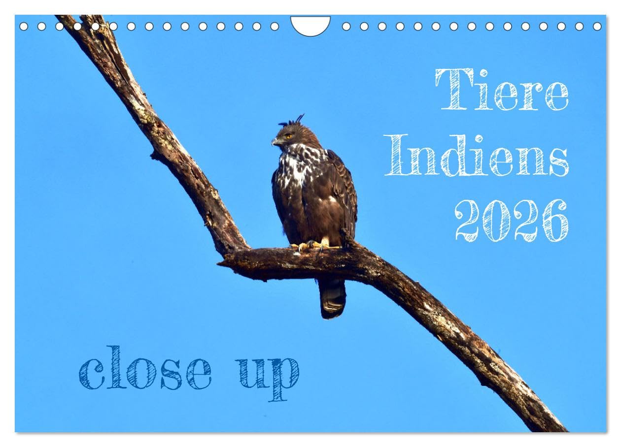 Tiere Indiens close up (Wandkalender 2026 DIN A4 quer), CALVENDO Monatskalender: Auge in Auge mit Wildtieren Indiens