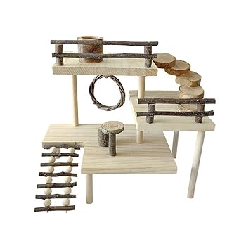 Amazon.co.jp: ペット小動物ハムスタートレーニング木製咀嚼