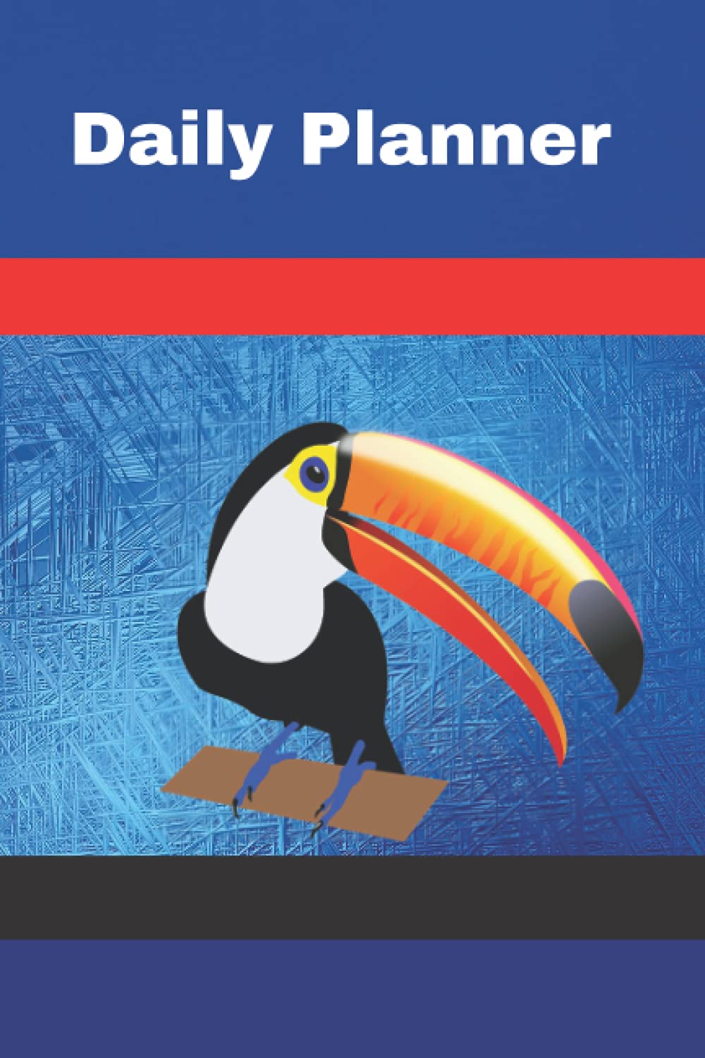 Daily Planner: Organizer Book for Daily Activities