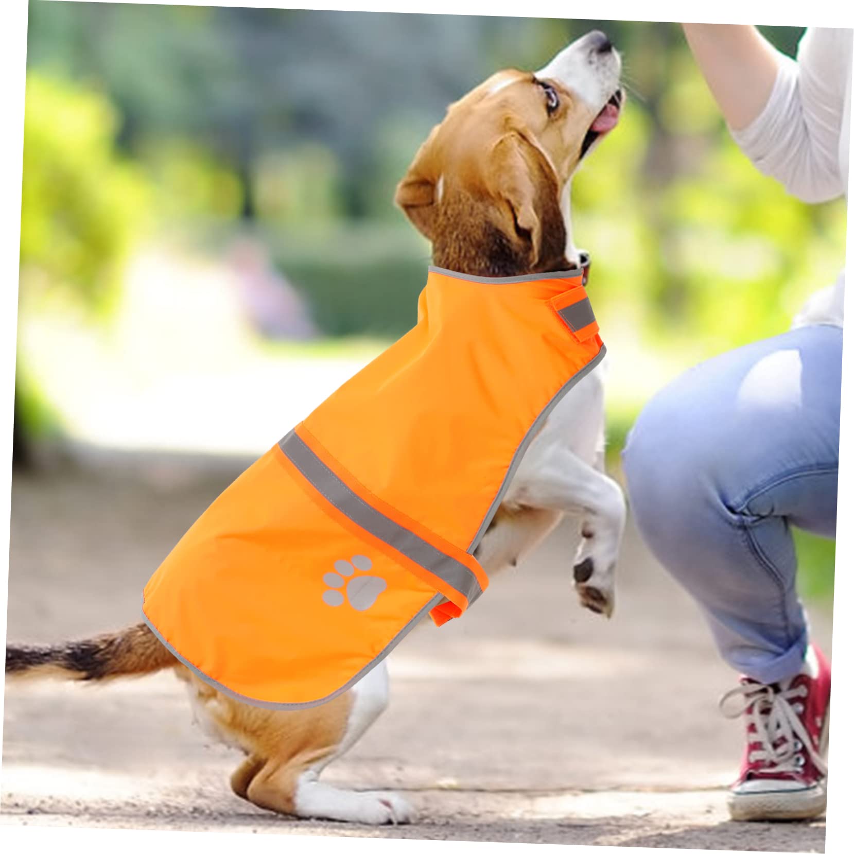 Beavorty 3stücke Reflektierende Hundeweste Atmungsaktivem Für Outdoor- Für Kleine Mittelgroße Hunde Für Nächtliche Aktivitäten Und Schutz