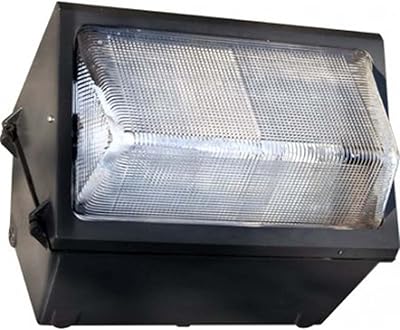 DABMAR LIGHTING DW1840-MT Large Wall Pack Fixture