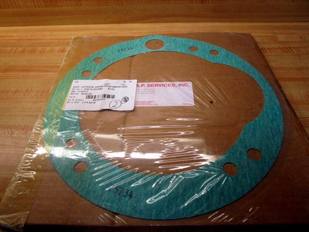 1000075734 Gasket