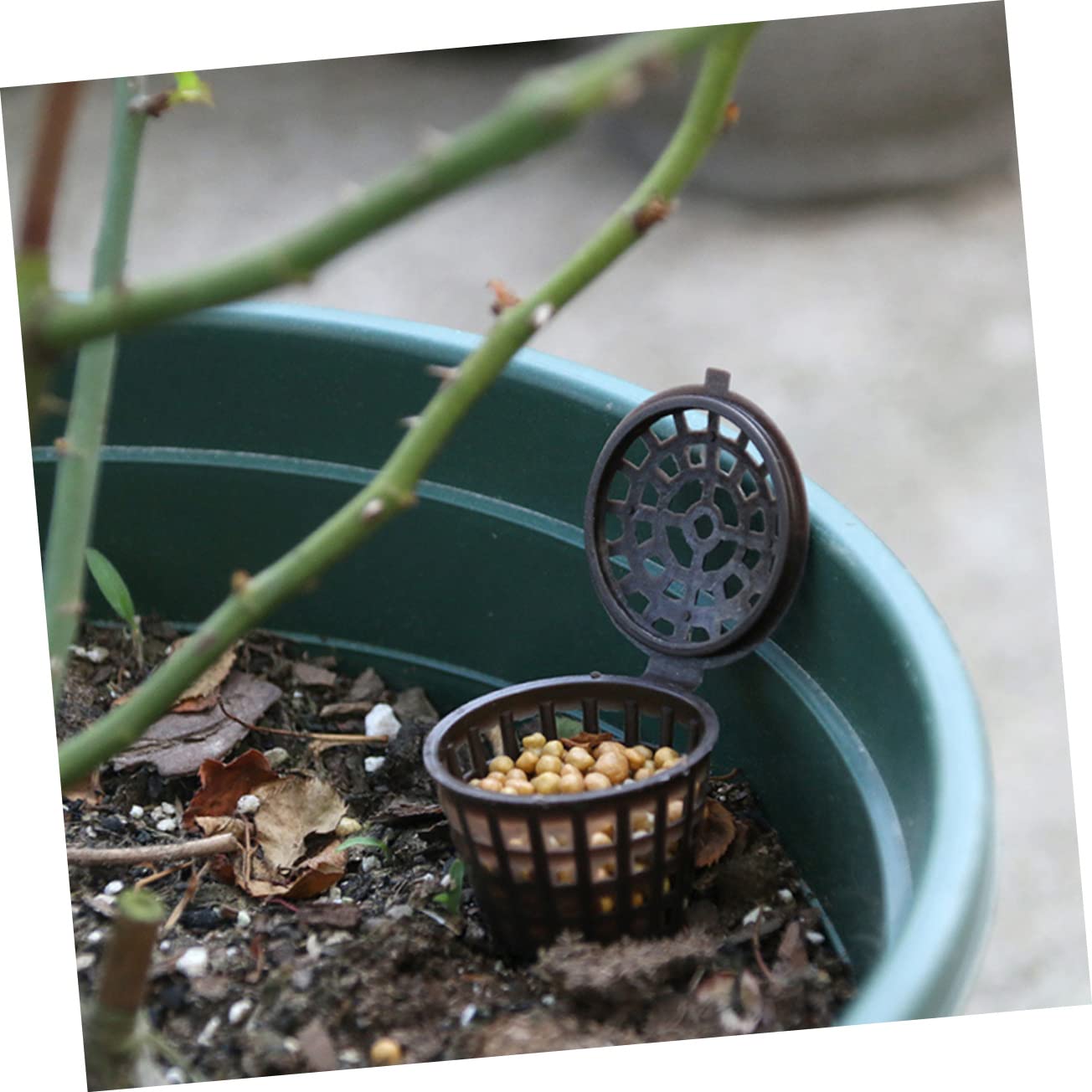 BESPORTBLE 150pièces Boîte De Fertilisation Avec Couvercle Pour Plantes Fleurs Et Bonsai Économiseur De Fertilisant Et Réutilisable