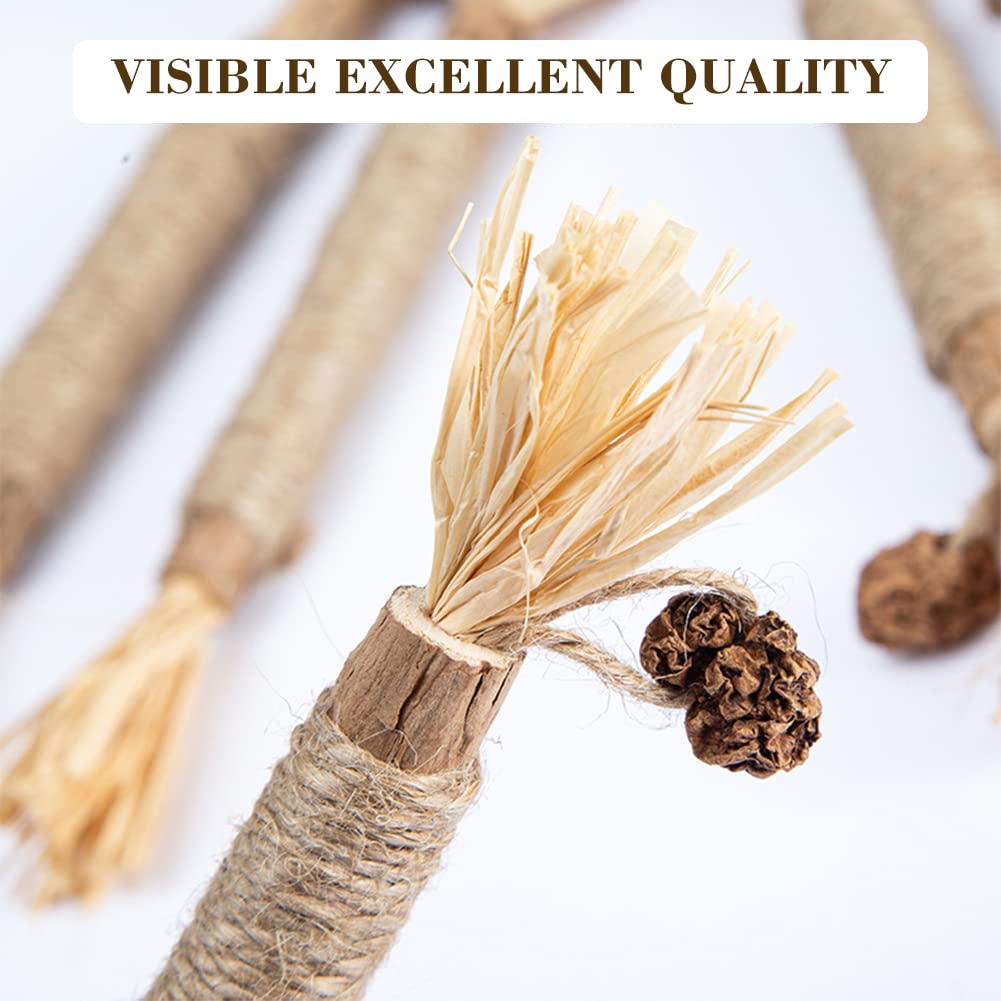 Bastoncini Di Erba Gatta Naturali Per Gatti - 20 Pezzi - Gioco Antistress E Digestivo - Foto 5