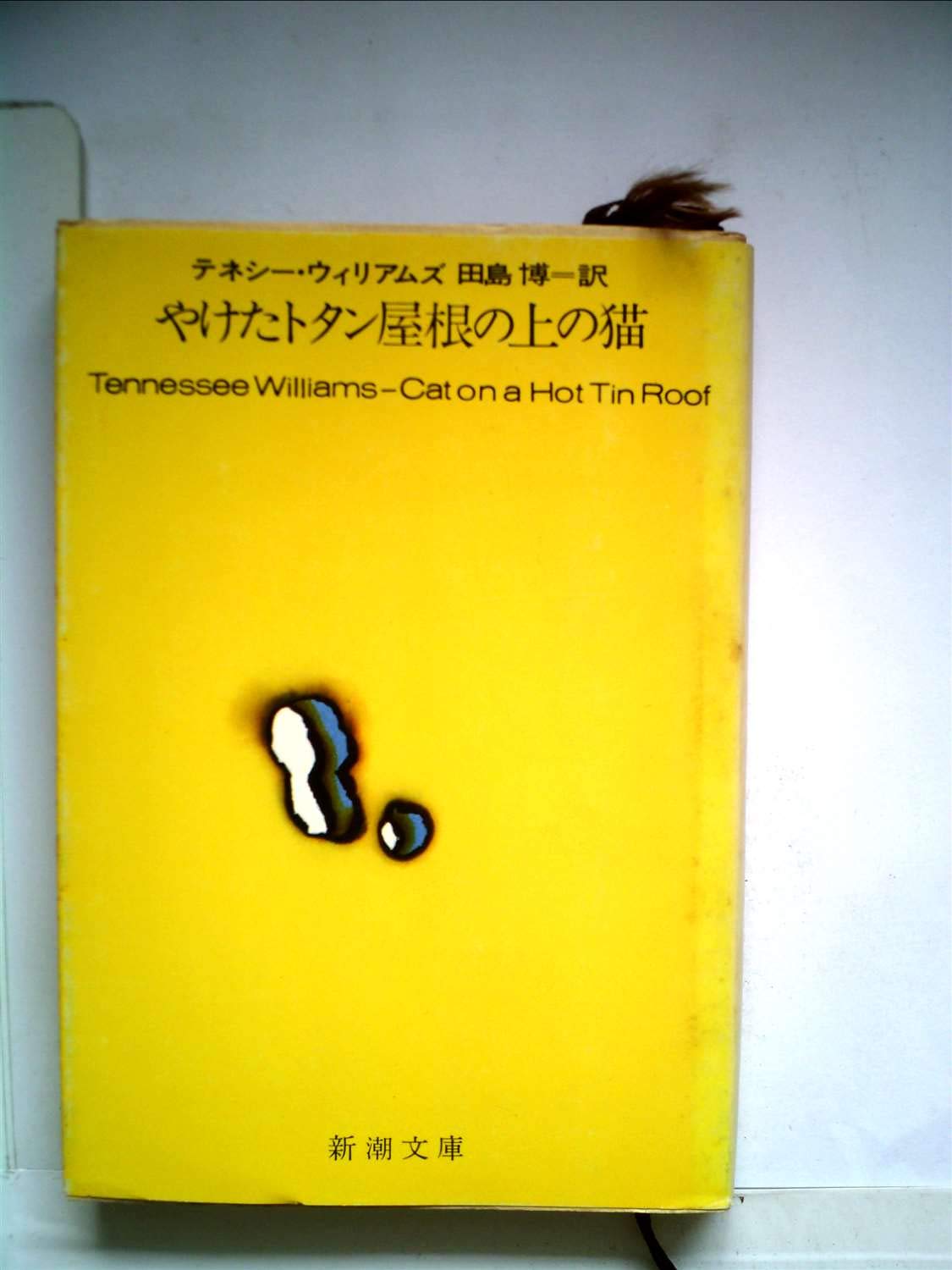 やけたトタン屋根の上の猫　　421 61OkRaLtlPL.jpg