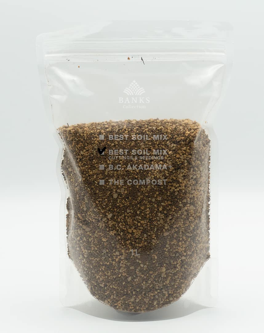 E☆BANKS BEST SOIL MIX 植物用土 10袋 最高品質の土】best soil mix（ベストソイルミックス）レビュー