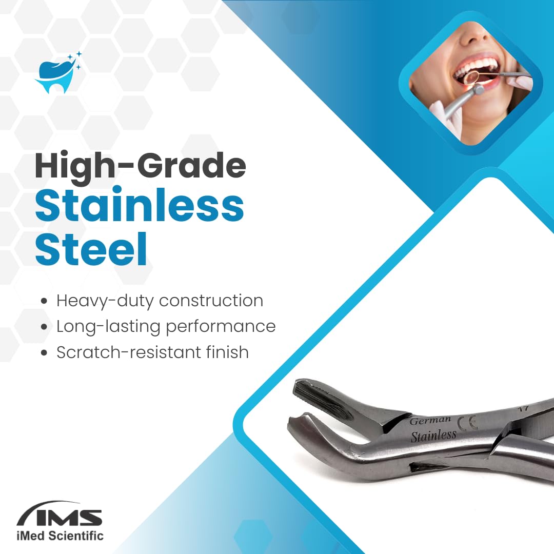 IMEDS Dental Extracting Forceps #17 with Serrated Beaks Tooth Extraction German Stainless Steel Professional Tools for Dentist Student Training