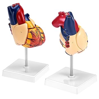 human made Heart ラグマット　large HUMAN MADE HEART RUG MEDIUM – HUMAN MADE Inc.