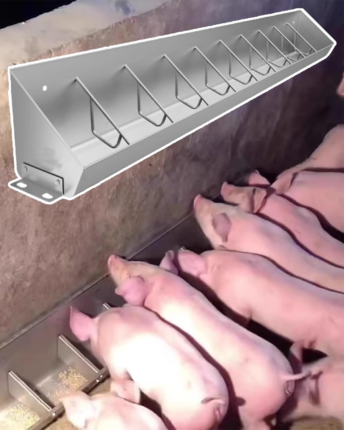 Mangiatoia, mangiatoia per suini in Metallo Resistente - mangiatoia a 5, 8 o 10 Fori per Bestiame, mangiatoia per suinetti Senza sprechi, Ciotola per bovini e suini Facile da installare con